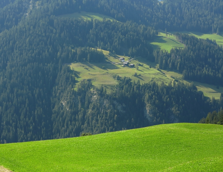 Verde montagna di FrancescoVenturelli