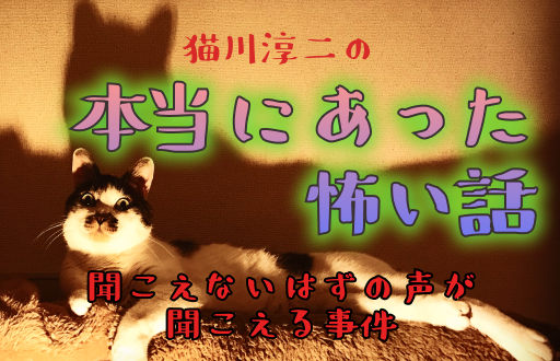 「猫川淳二の本当にあった怖い話 -聞こえないはずの声が聞こえる事件-」のメインビジュアル