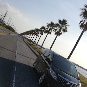 アルファード ANH20W
