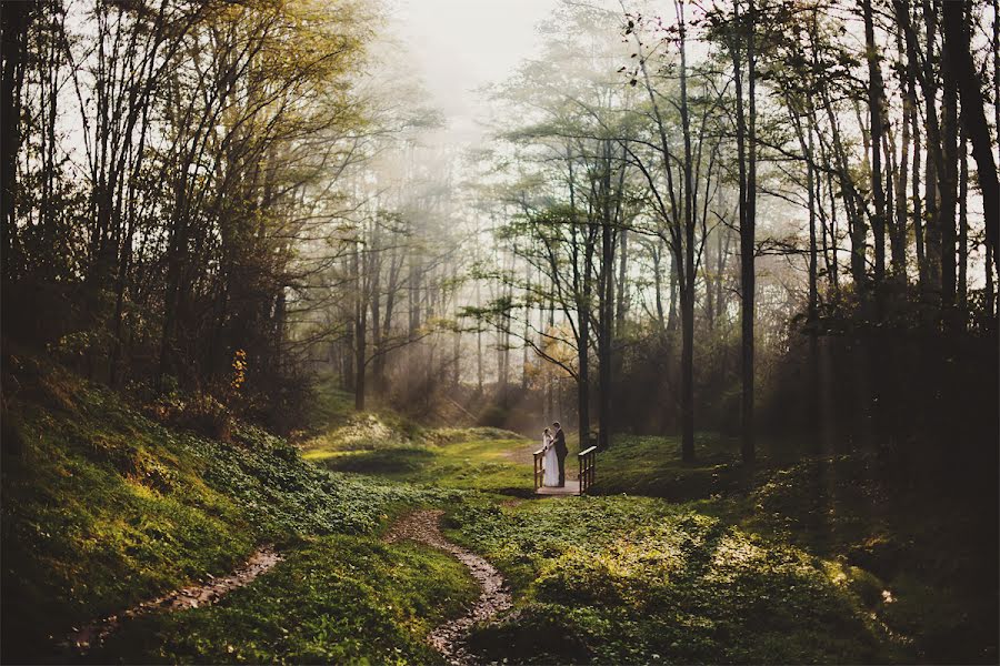 Fotograf ślubny Sylwia Stalmaski (stalmaski). Zdjęcie z 7 stycznia 2016