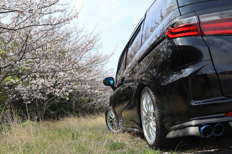 オデッセイの毎日投稿継続中・めざせPickupcars・ゆかこカンパニーソロ活動😅・ミラーレス一眼初心者🔰・桜とコラボに関するカスタム事例の投稿画像5枚目