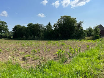 terrain à Le Fresne-Poret (50)