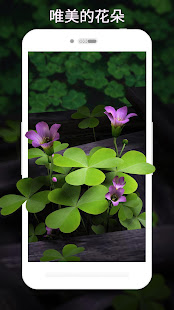3D清新花朵綠色三葉草高清動態壁紙(圖3)-速報App