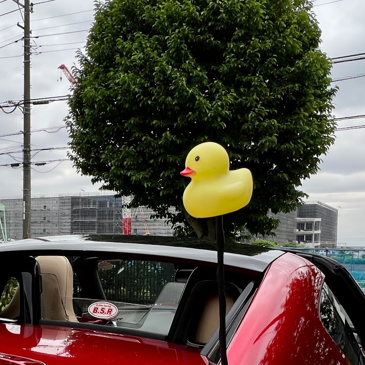 ロードスターのいつもいいね＆コメントありがとうございます🥰・今週も頑張りましょう・オープン出勤しています♬・母の日に関するカスタム事例の投稿画像4枚目