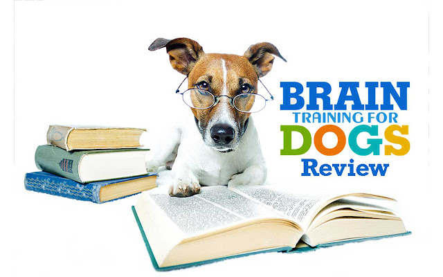 Brain Training For Dogs Review