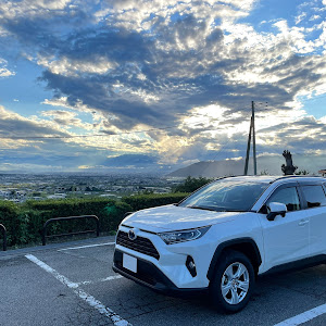 RAV4 AXAH52