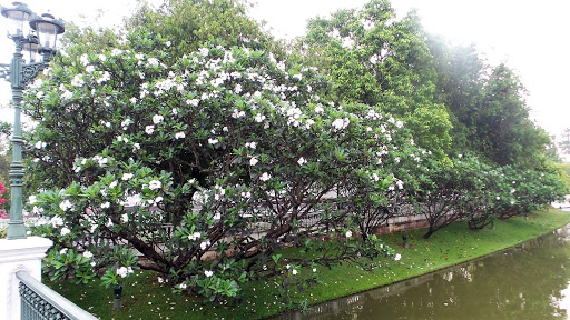 Summer Palace Thailand 2016