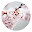 Cherry blossom flower HD new tab theme