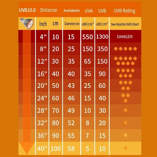 Full Spectrum Reptile Light 5.0/10.0 Lamp Bulb LED UV Lamp for Turtle Lizard Snake Heater UVA+UVB Bulb Terrarium Lamp 축광