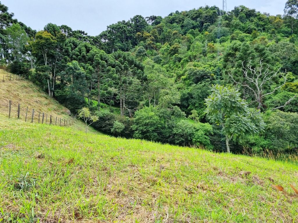 Terrenos à venda Quilombo