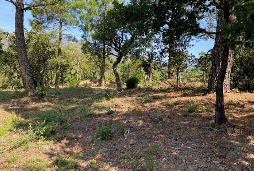  Vente Terrain à bâtir - 2 300m² à Grimaud (83310) 