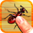 Bug Smash icon