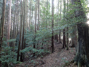 高低差なく