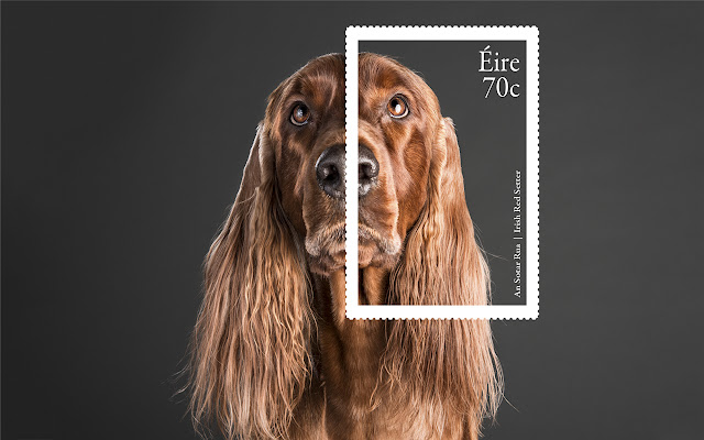 Irish Setter Themes & New Tab