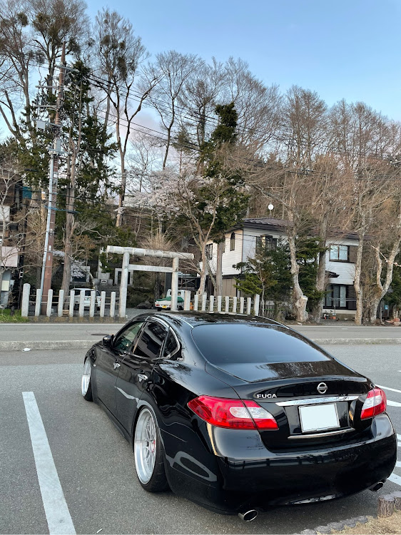 フーガの桜・山中湖・ドライブ・BBS LMに関するカスタム事例の投稿画像4枚目