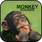 Cover Image of Baixar Monkey Sounds 2.0 APK