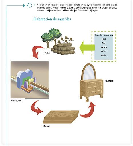 Resultado de imagen de ciclo de extraccion de madera