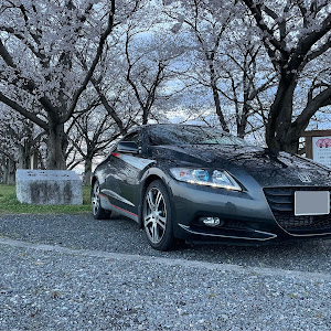 CR-Z ZF1