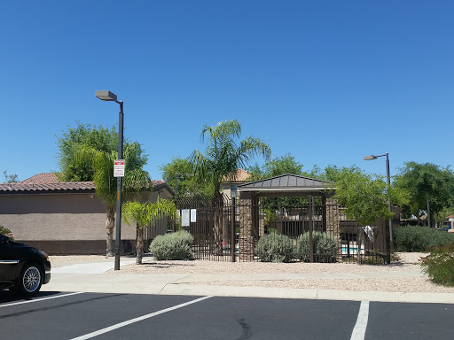 Arizona Goldfield Pool