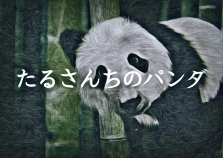 「たるさんちのぱんだ」のメインビジュアル