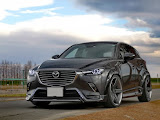 CX-3