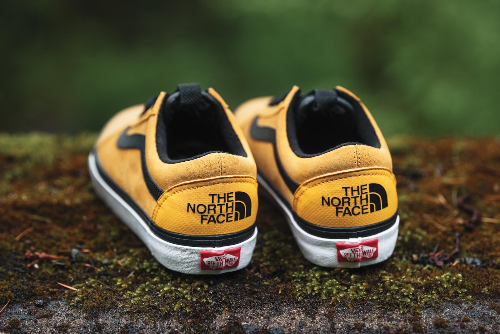 vans collab with north face