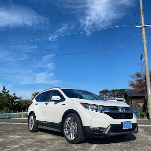 CR-V RT6