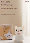 Small Night Lamp English
