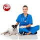 Download How to Become a Veterinarian For PC Windows and Mac 1.1.3