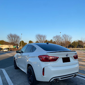 X6 M F86