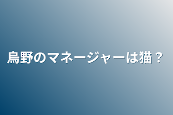 烏野のマネージャーは猫？