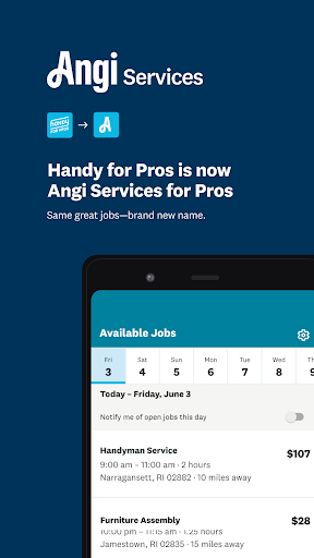 Screenshot Angi Services for Pros