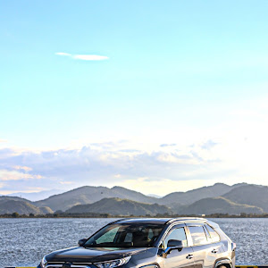 RAV4 MXAA54
