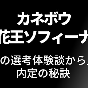 花王ビューティブランズカウンセリング（旧カネボウ）の選考対策