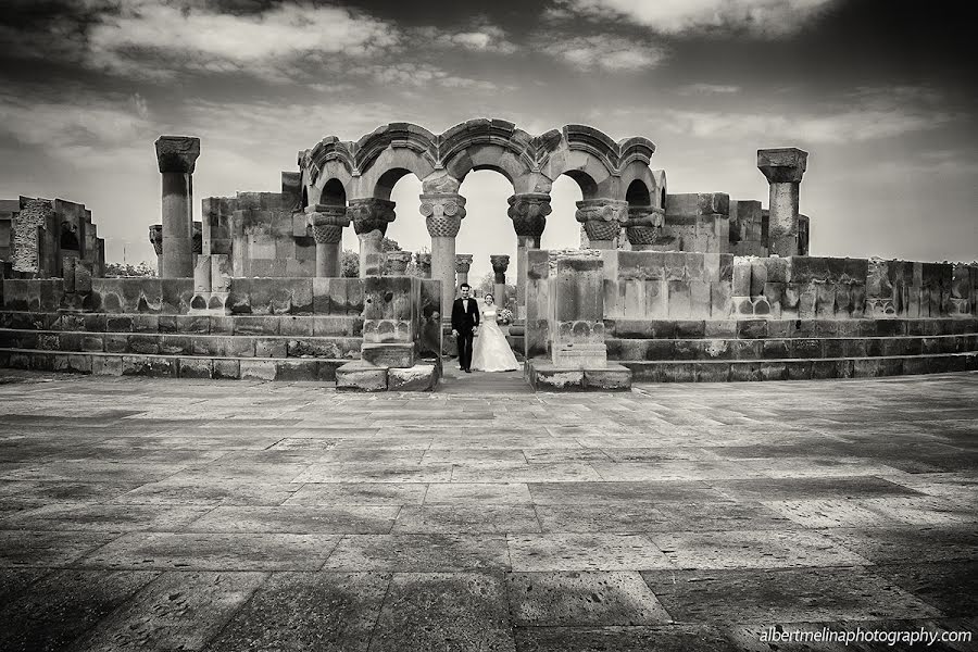 Fotografo di matrimoni Melina Pogosyan (melinapoghosyan). Foto del 10 luglio 2018