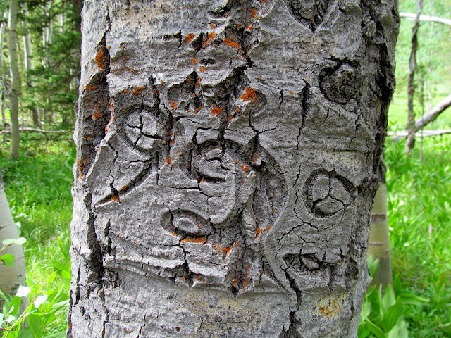 1929 aspen carving