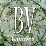 Cover Image of 下载 BAVOVOA 2.0 APK