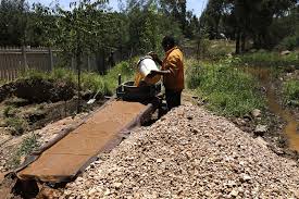 An illegal miner processing rock with gold bearing ore mined from a disused shaft ion the West Rand.