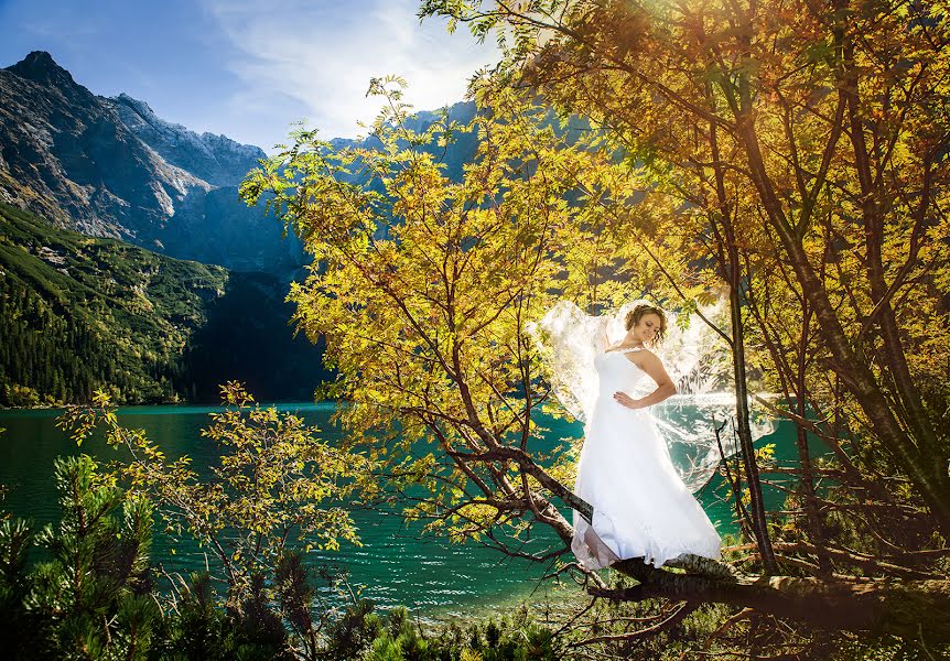 Fotógrafo de casamento Renata Orlińska (orliska). Foto de 14 de outubro 2015