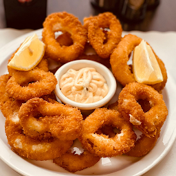 Fried Calamari