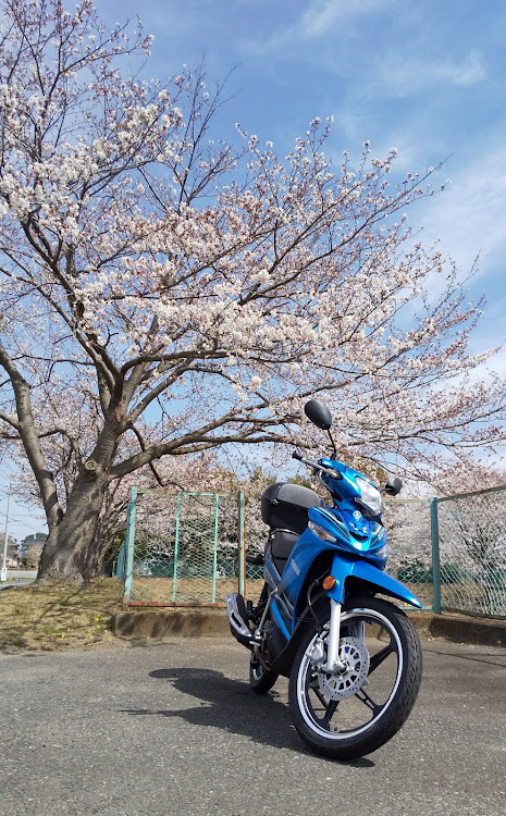 スーパーセリーヌさんが投稿した二輪でごめんなさいに関するカスタム事例の投稿画像3枚目