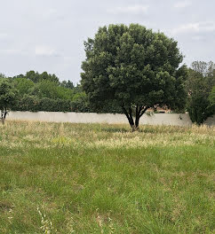 terrain à Monteux (84)