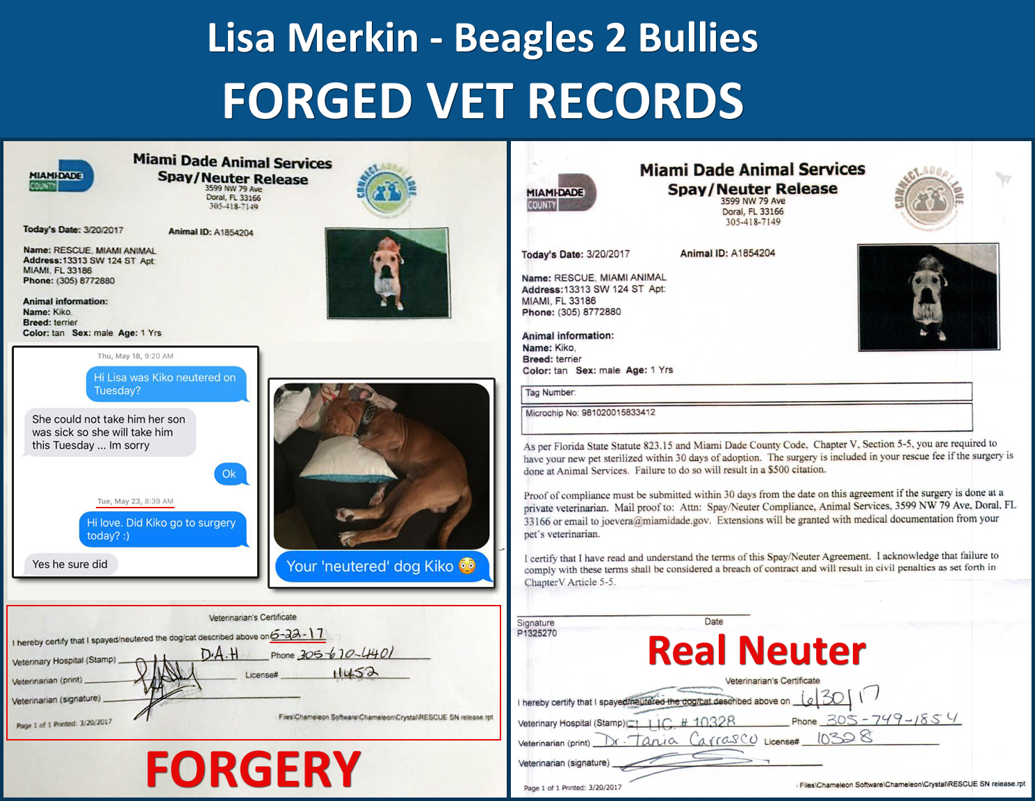 Forged-Kiko-Neuter.png