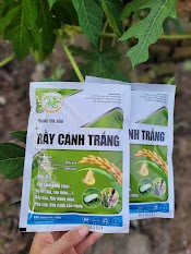 Trừ Rầy Cánh Trắng Trên Lúa, Bọ Nhảy, Rầy Xanh, Rầy Bông Xoài Gói 100Gram