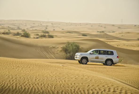 Desert road di Rossella13