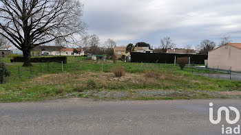 Saint-Michel-le-Cloucq (85)