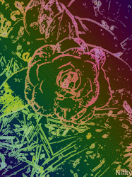 Vectors of Nature 