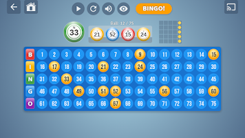 Bingo Set Screenshot