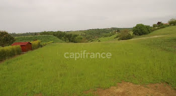 terrain à Moissac (82)