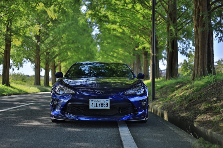 86のメタセコイア並木・ドライブ・カメ活・無加工ミラーレスに関するカスタム事例の投稿画像1枚目